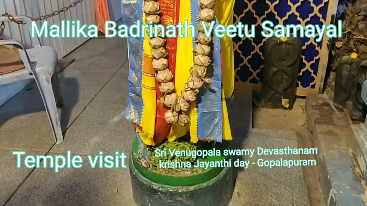 Vlog – Temple Visit – Sri Venugopala Swamy temple -Gopalapuram